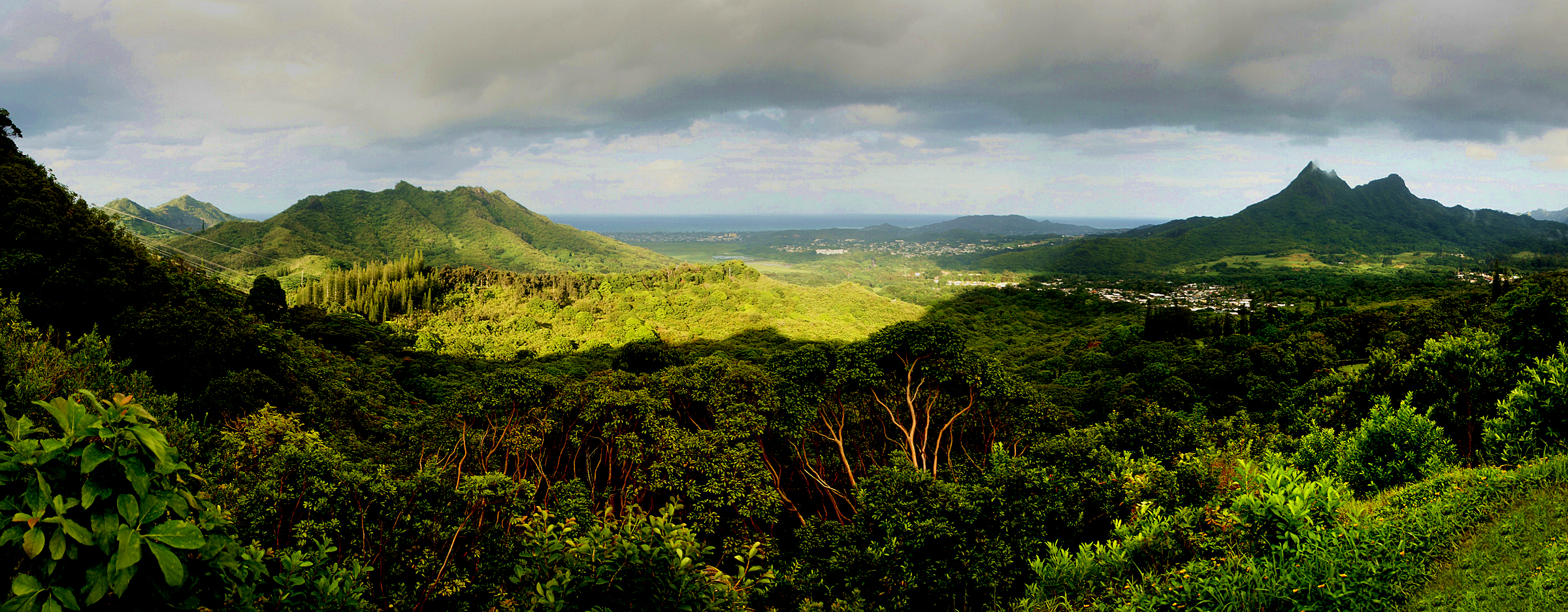 Green valley landscape in Oahu